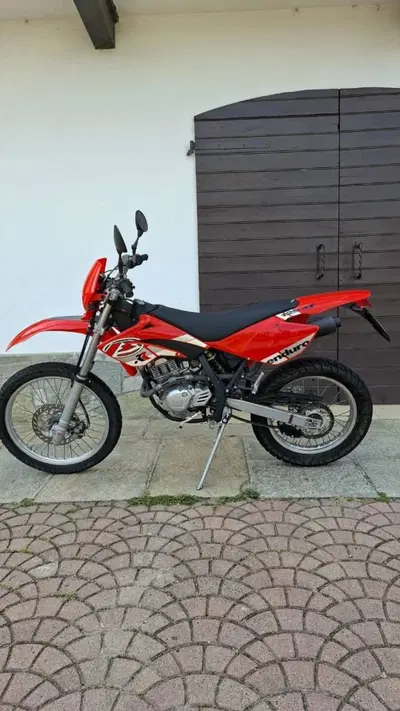 Betamotor RR 125 4T Enduro (2006 - 09) usata