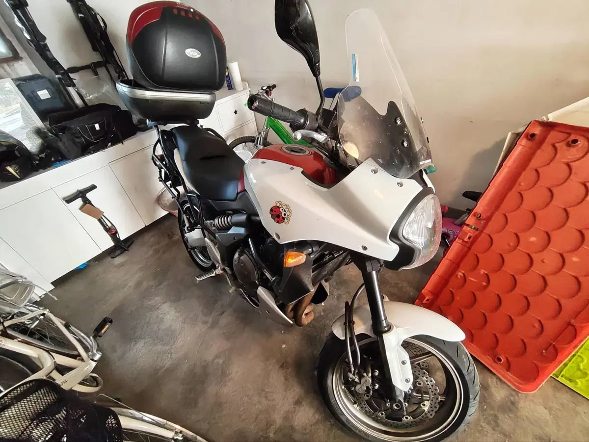 Kawasaki Versys 650 (2006 - 09) (4)