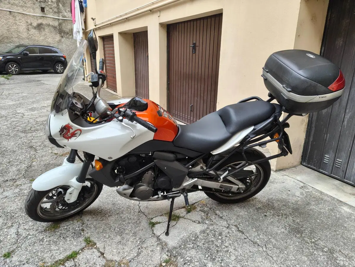 Kawasaki Versys 650 (2006 - 09) (2)