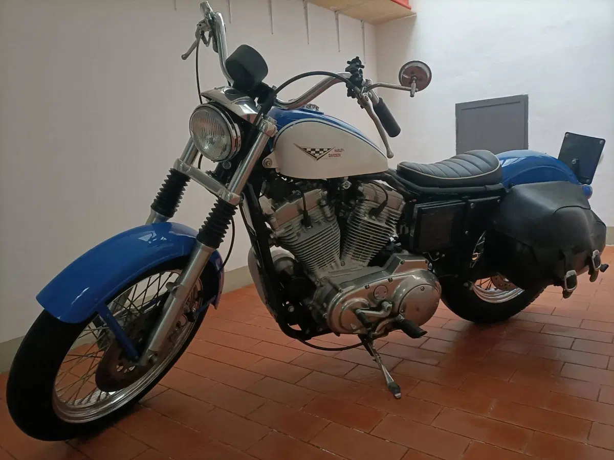 Harley-Davidson 883 Hugger (2001 - 02) - XLH (6)