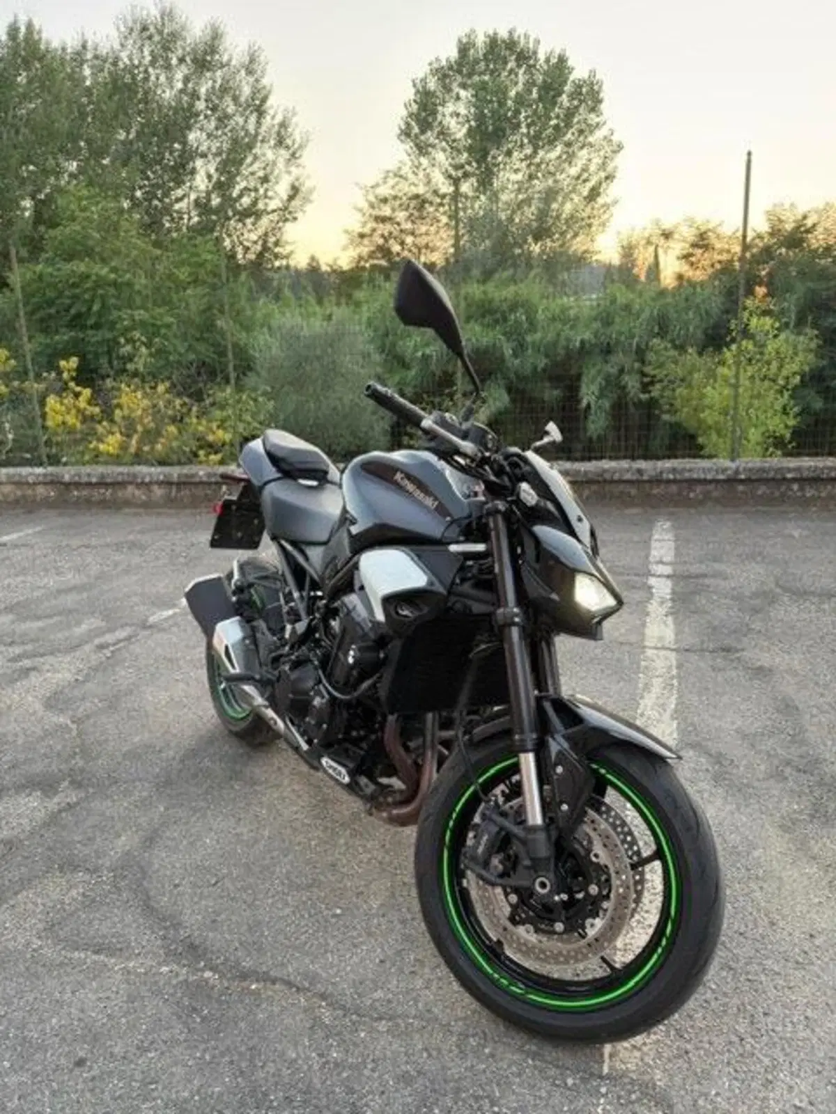 Kawasaki Z 900 (2025 - 26)