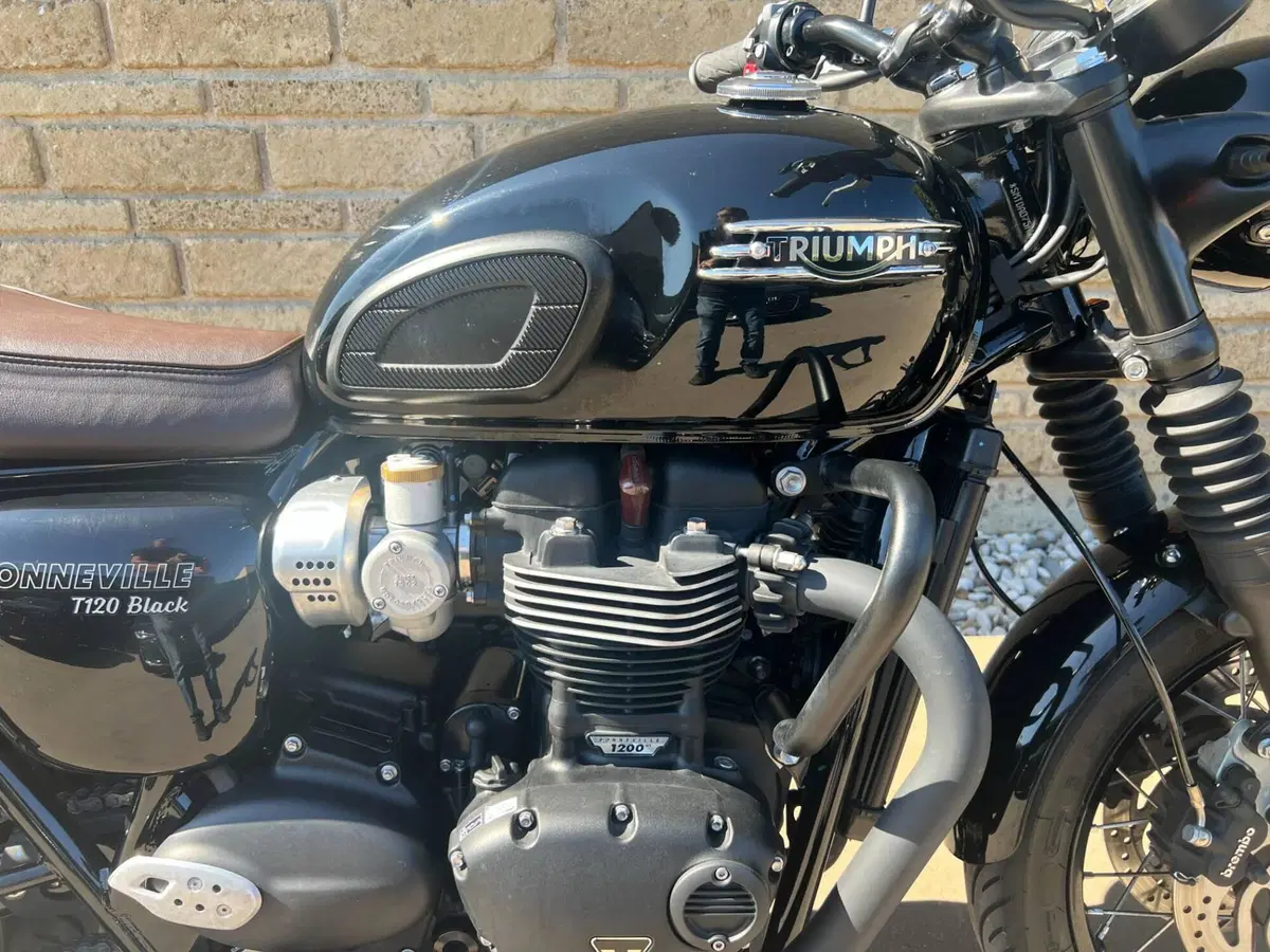 Triumph Bonneville T120 Black (2021 - 25) (8)