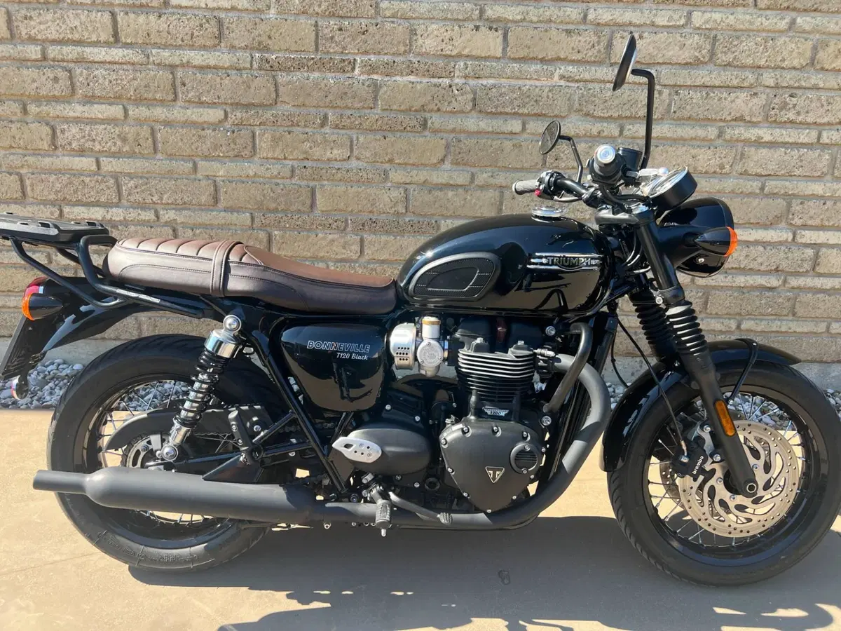 Triumph Bonneville T120 Black (2021 - 25) (9)
