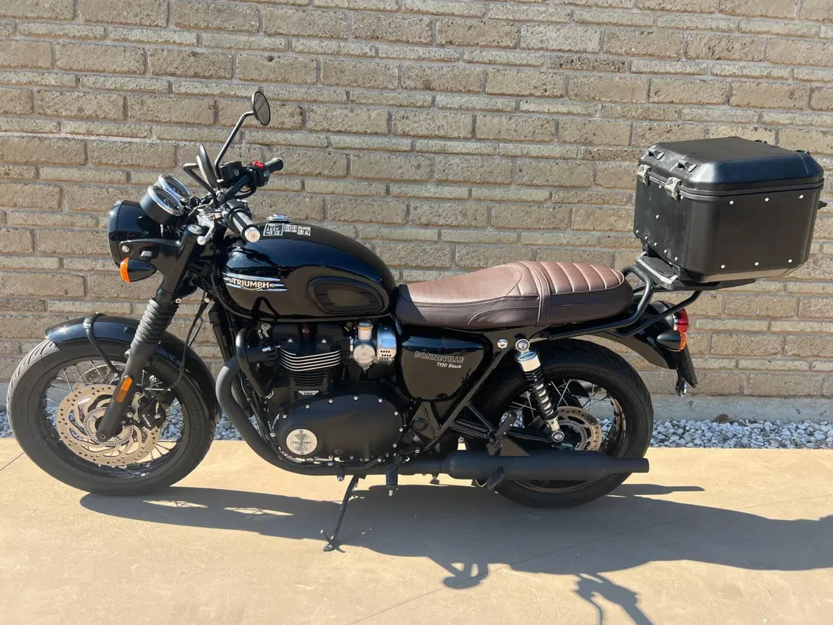 Triumph Bonneville T120 Black (2021 - 25) (12)