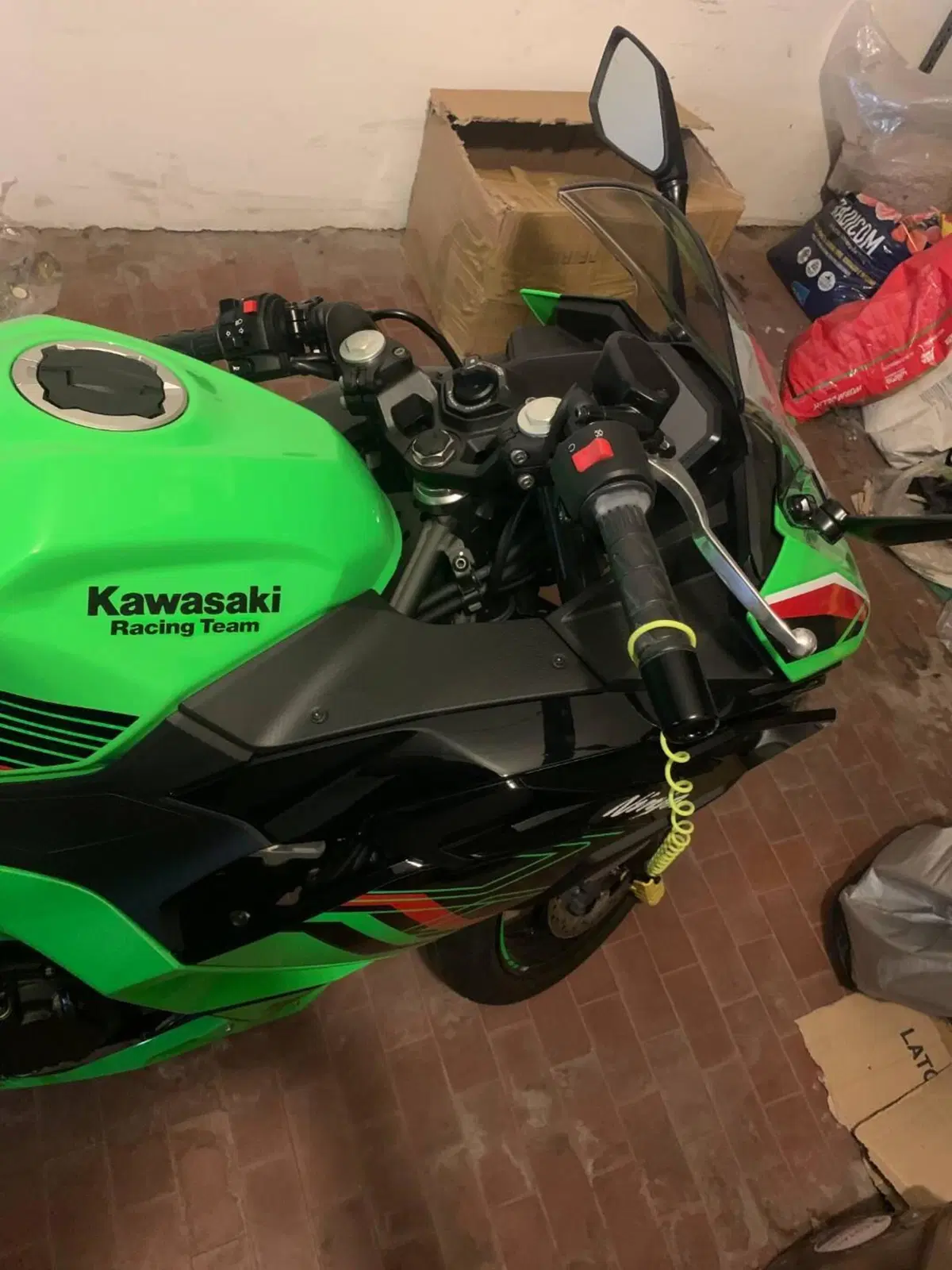 Kawasaki Ninja 500 SE (2024 - 26) (7)