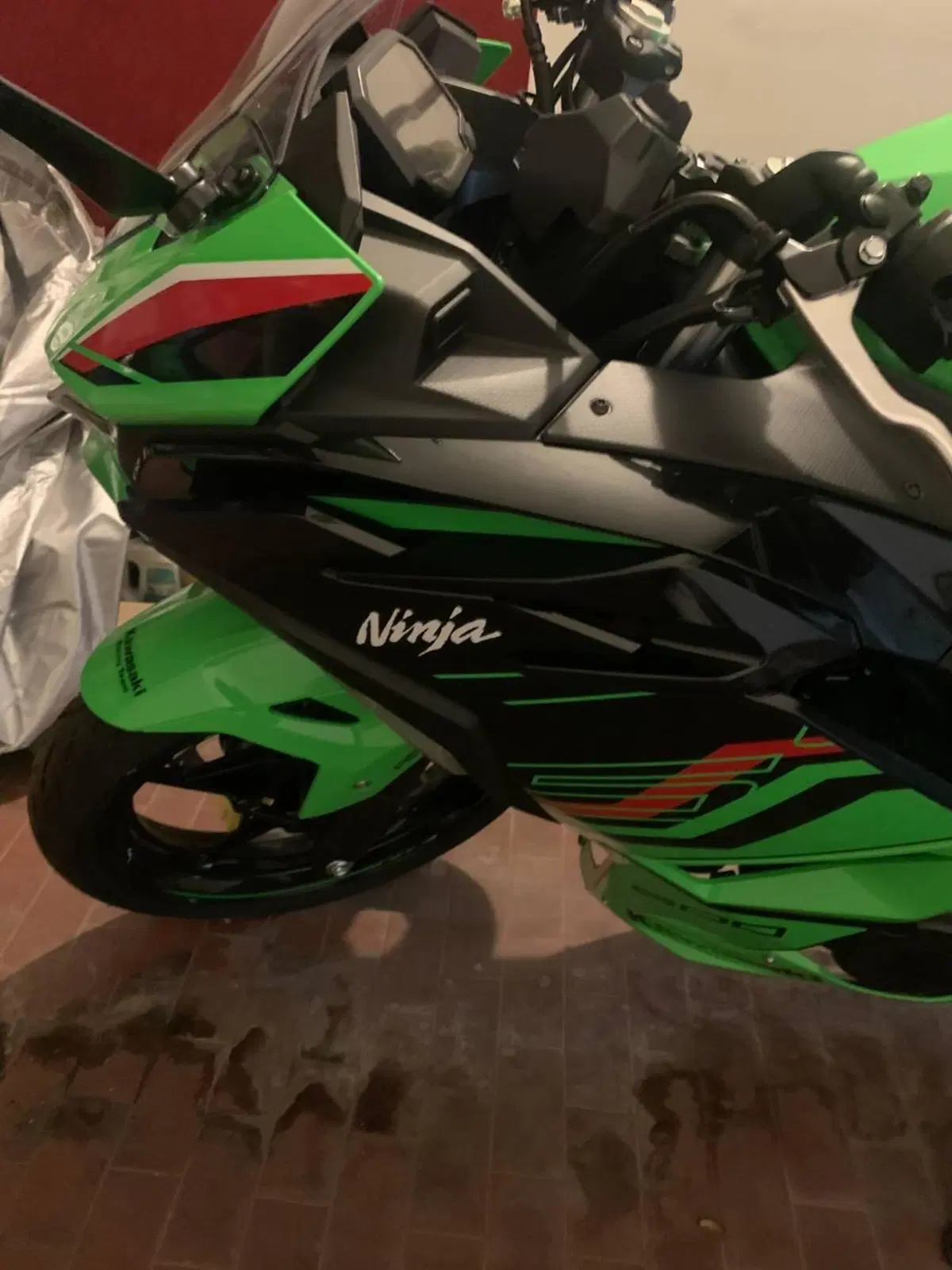 Kawasaki Ninja 500 SE (2024 - 26) (9)