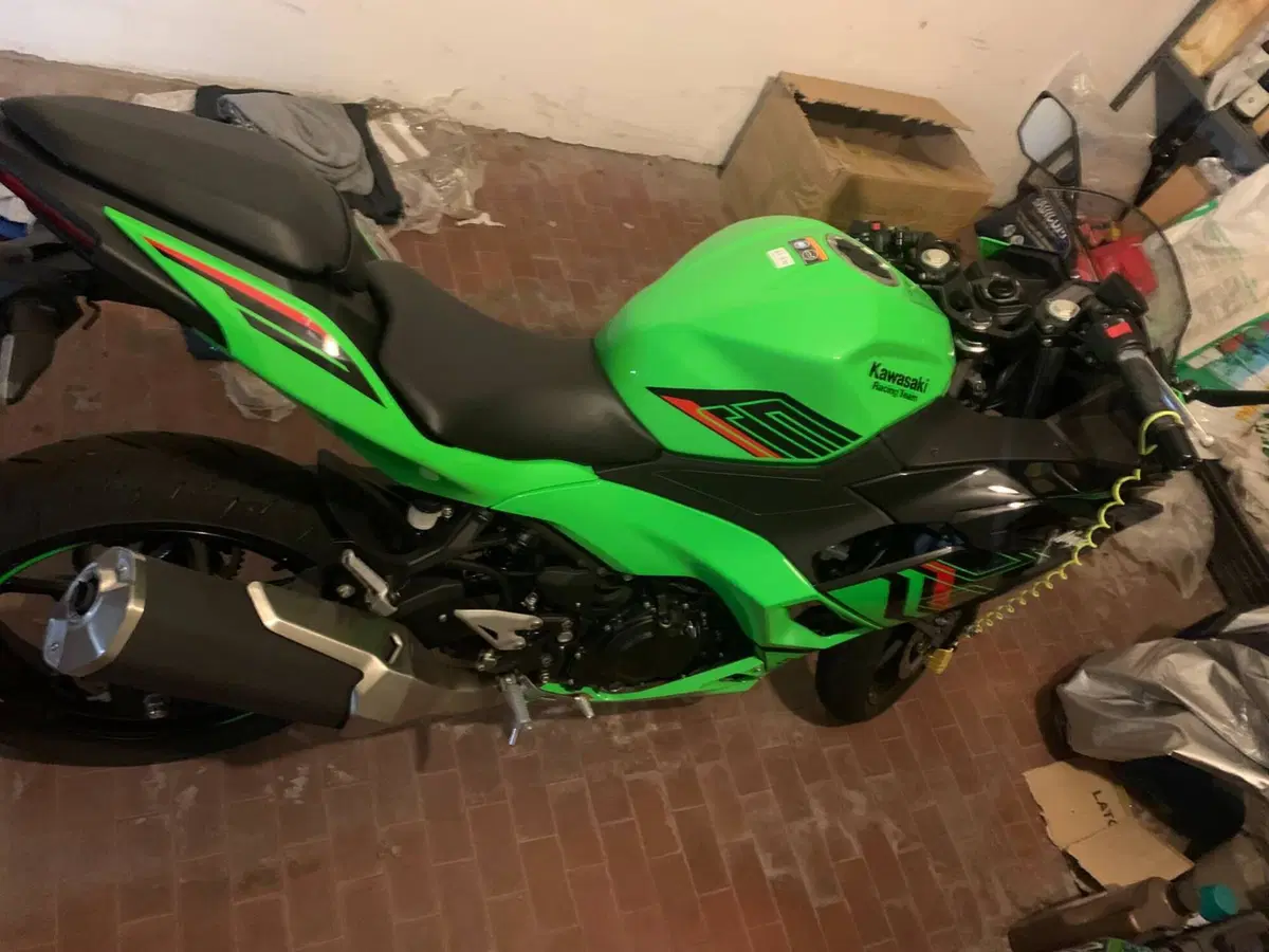 Kawasaki Ninja 500 SE (2024 - 26) (11)