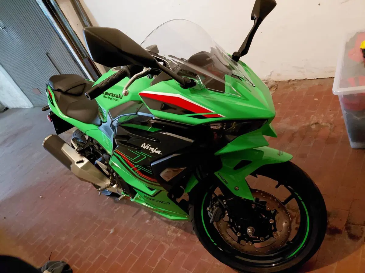 Kawasaki Ninja 500 SE (2024 - 26)
