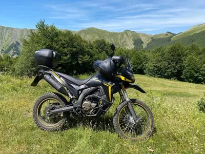 Voge Valico 300 Rally (2022 - 26) usata