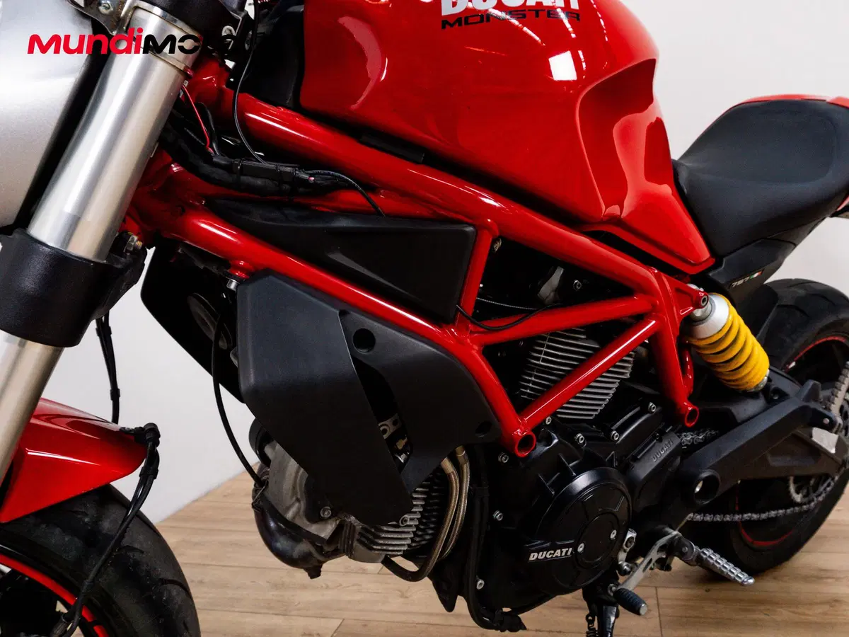 Ducati Monster 797 (2017 - 18) (9)