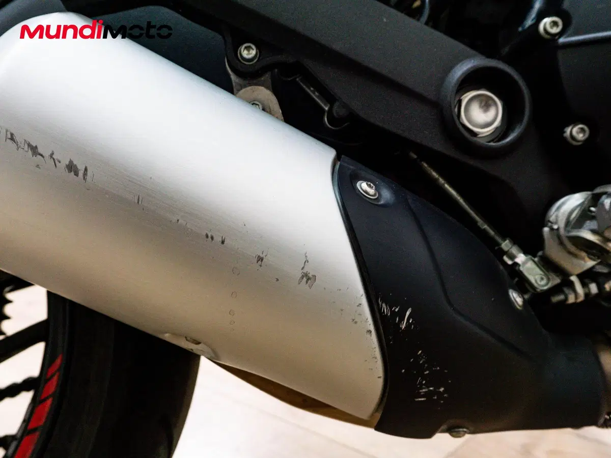 Ducati Monster 797 (2017 - 18) (15)