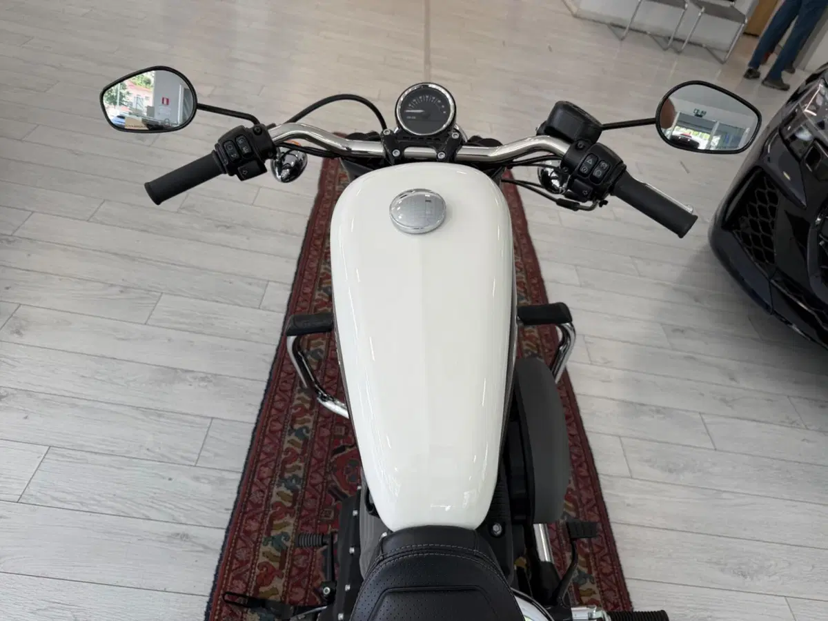 Harley-Davidson 1200 Roadster (2017 - 20) - XL 1200R (8)