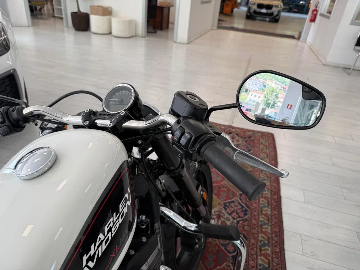 Harley-Davidson 1200 Roadster (2017 - 20) - XL 1200R (11)