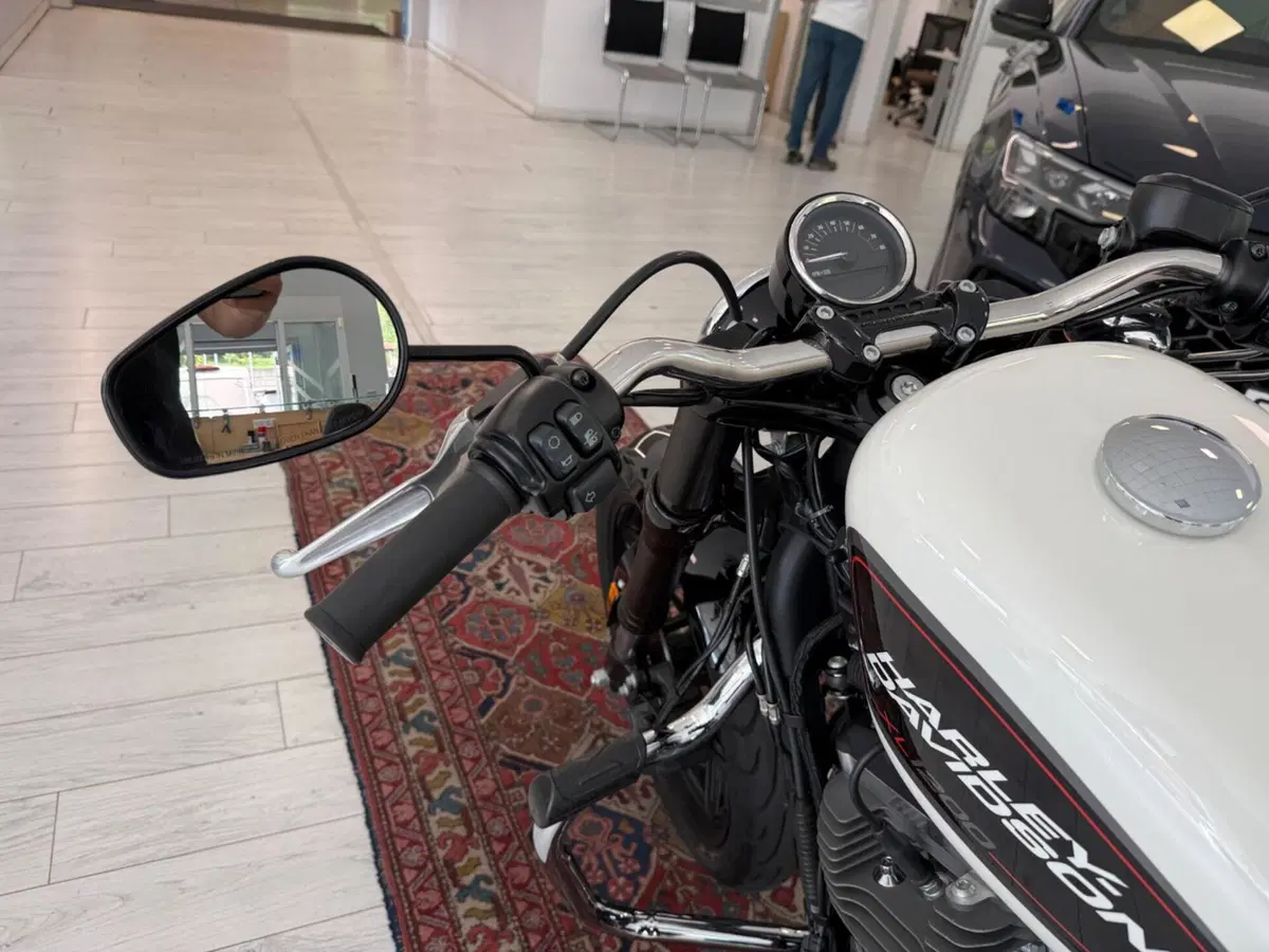 Harley-Davidson 1200 Roadster (2017 - 20) - XL 1200R (10)