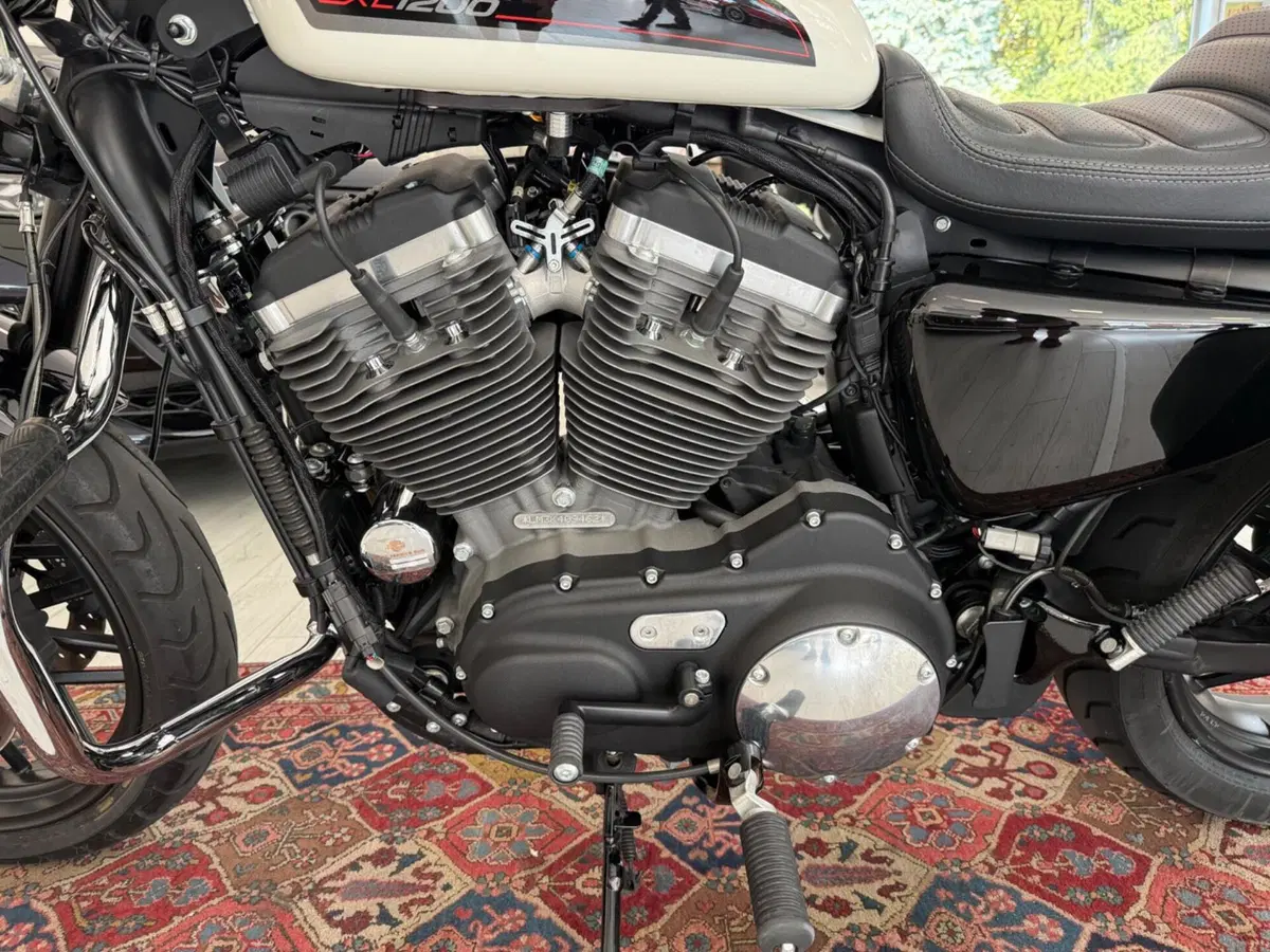 Harley-Davidson 1200 Roadster (2017 - 20) - XL 1200R (7)