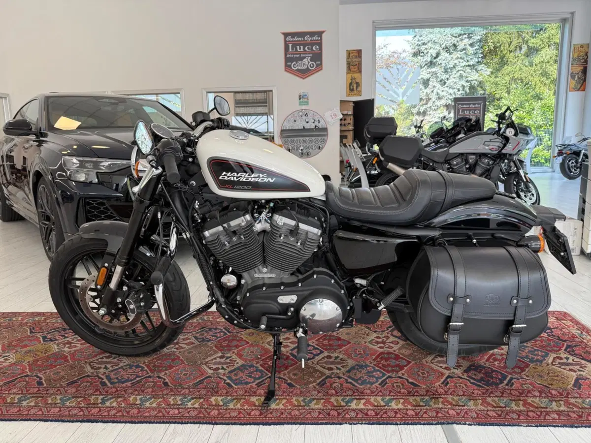 Harley-Davidson 1200 Roadster (2017 - 20) - XL 1200R (3)