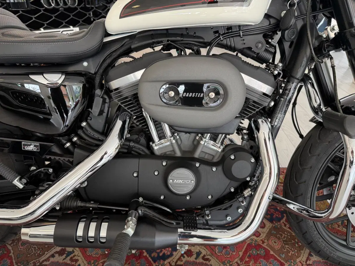 Harley-Davidson 1200 Roadster (2017 - 20) - XL 1200R (6)