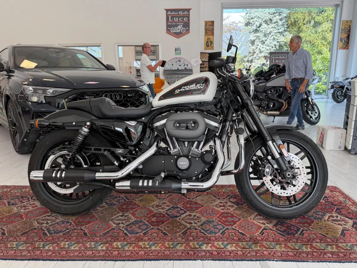 Harley-Davidson 1200 Roadster (2017 - 20) - XL 1200R (2)