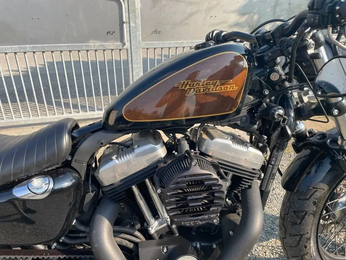 Harley-Davidson 1200 Forty-Eight (2010 - 15) (3)