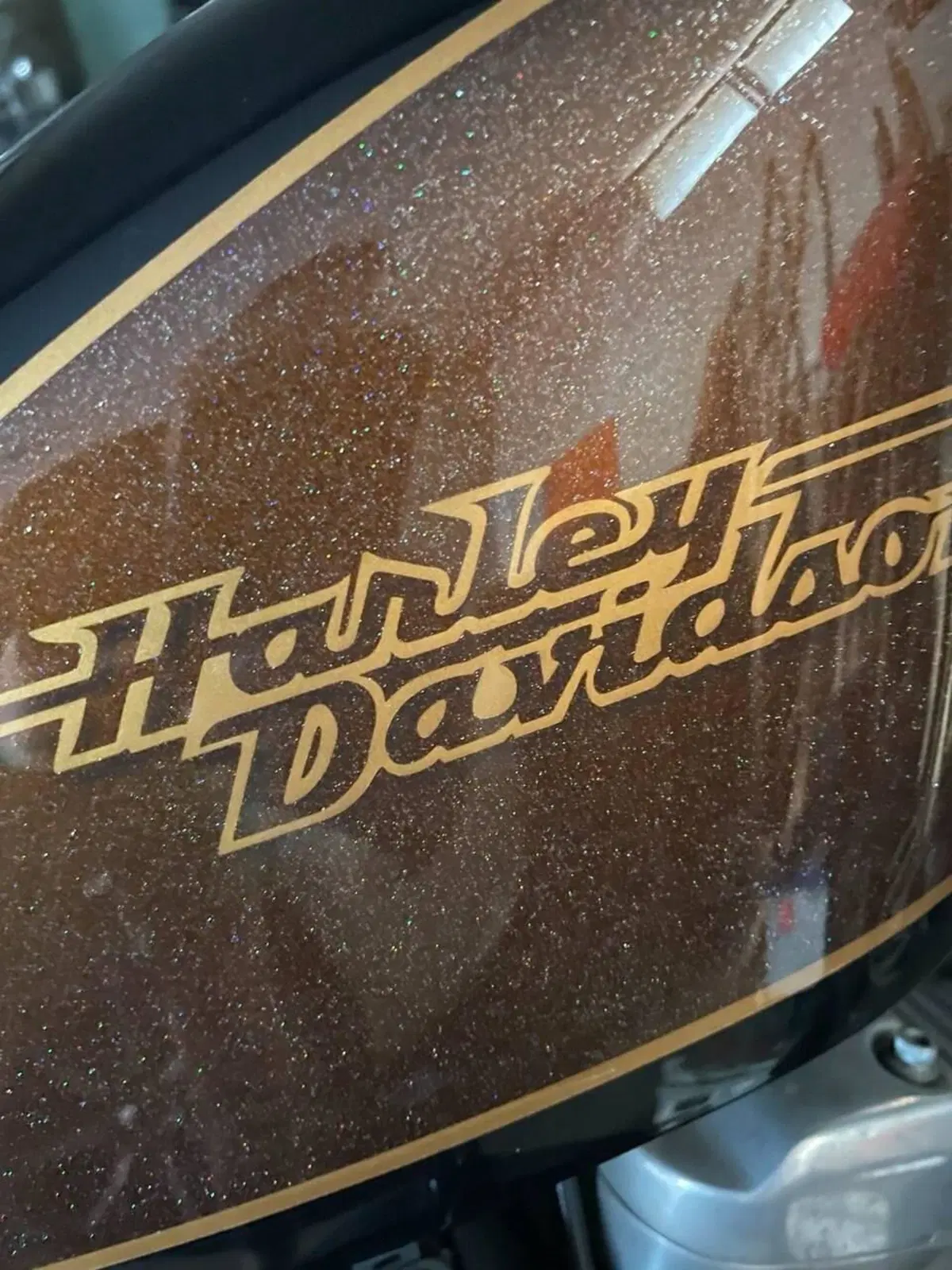 Harley-Davidson 1200 Forty-Eight (2010 - 15) (4)