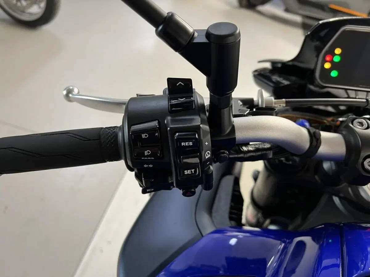 Yamaha MT-10 (2017 - 20) (7)