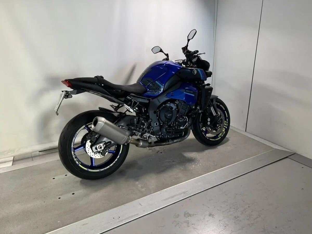 Yamaha MT-10 (2017 - 20) (13)