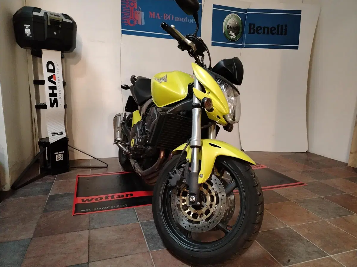 Honda Hornet 600 (2011 - 13)