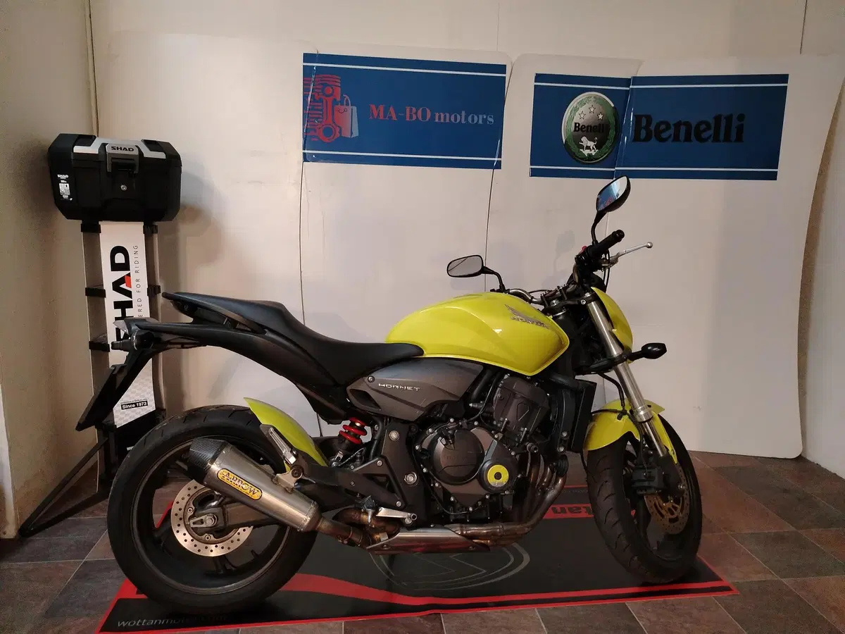 Honda Hornet 600 (2011 - 13) (2)