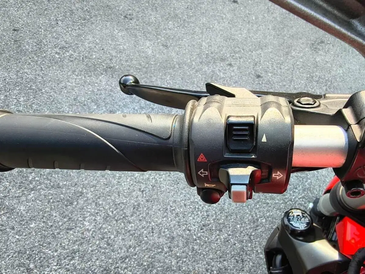 Ducati Monster 821 Stripe ABS (2015 - 17) (7)