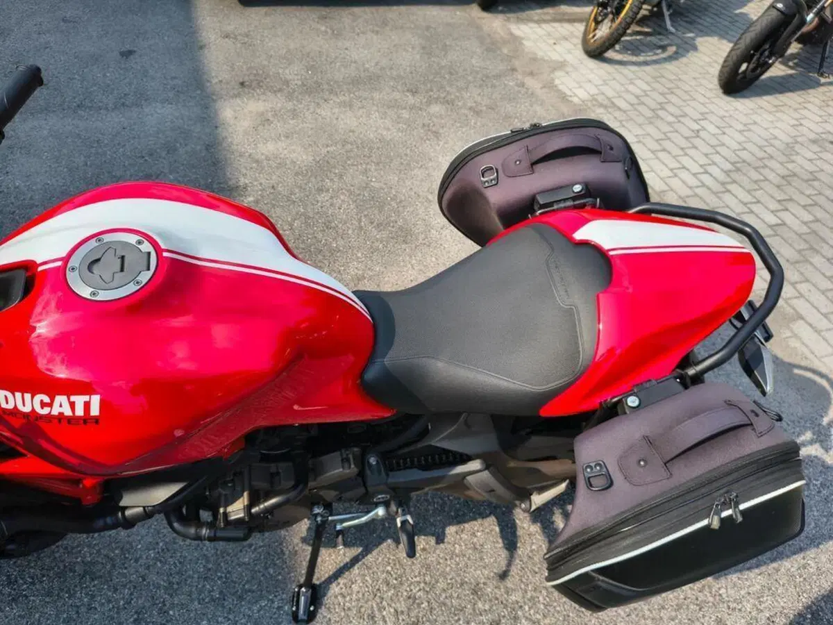 Ducati Monster 821 Stripe ABS (2015 - 17) (9)