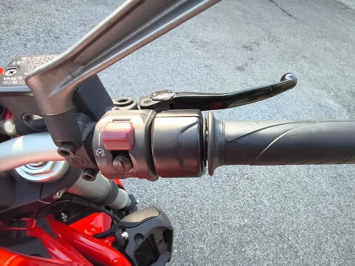 Ducati Monster 821 Stripe ABS (2015 - 17) (8)