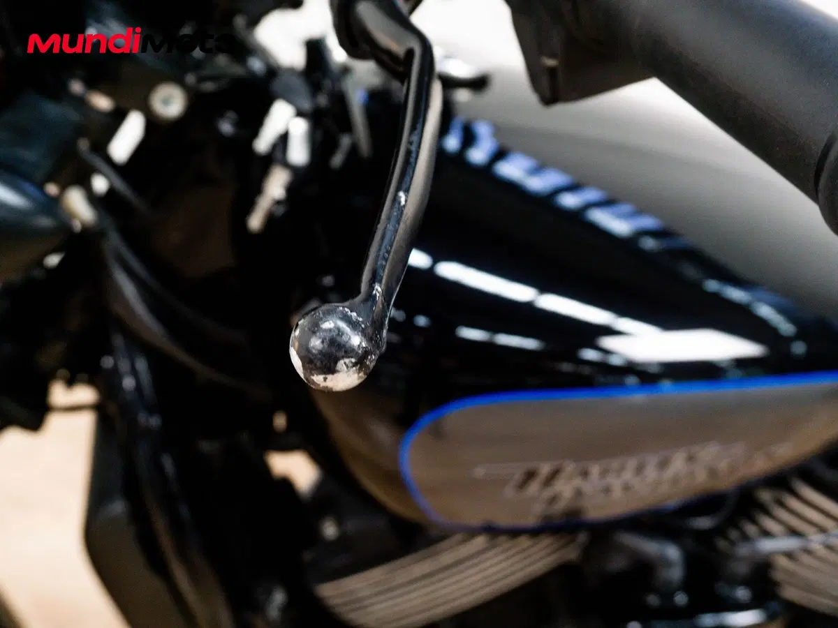Harley-Davidson 750 Street Rod (2017 - 20) - XG 750 (14)