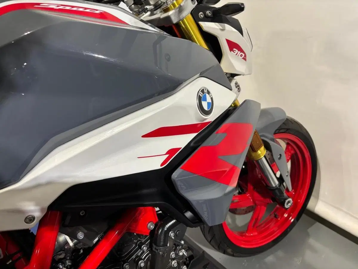 Bmw G 310 R (2021 - 25) (10)