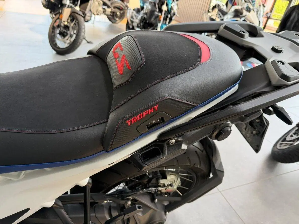 Bmw R 1300 GS (2023 - 26) (10)