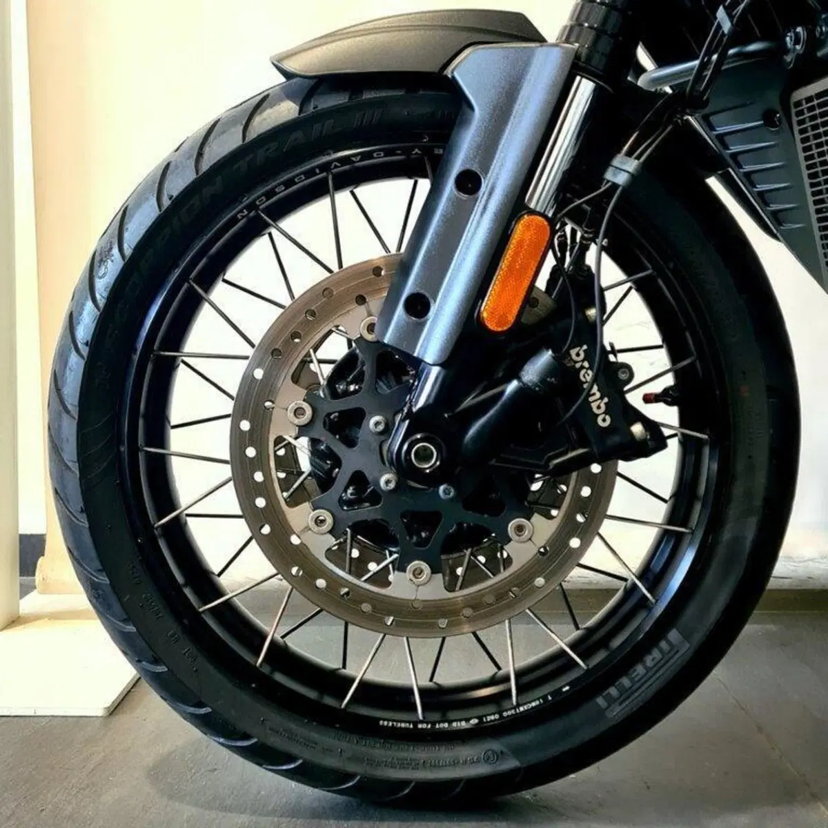 Harley-Davidson Pan America 1250 Special (2020 - 25) (7)