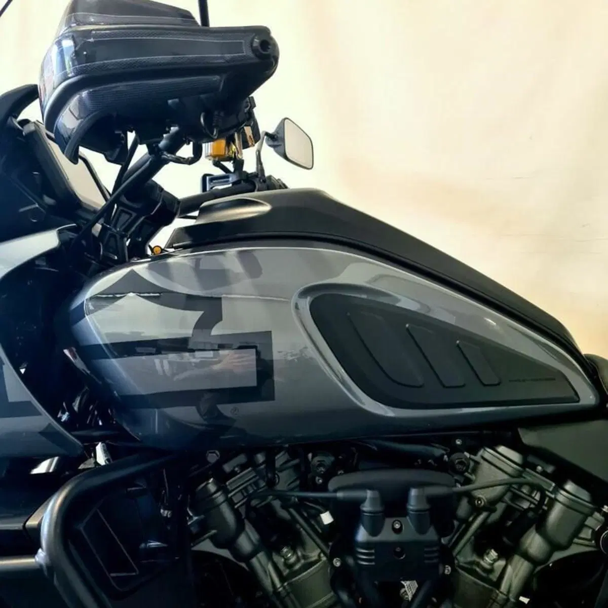 Harley-Davidson Pan America 1250 Special (2020 - 25) (10)