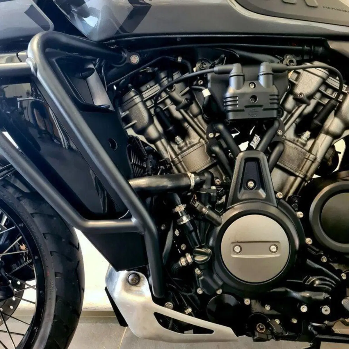 Harley-Davidson Pan America 1250 Special (2020 - 25) (11)