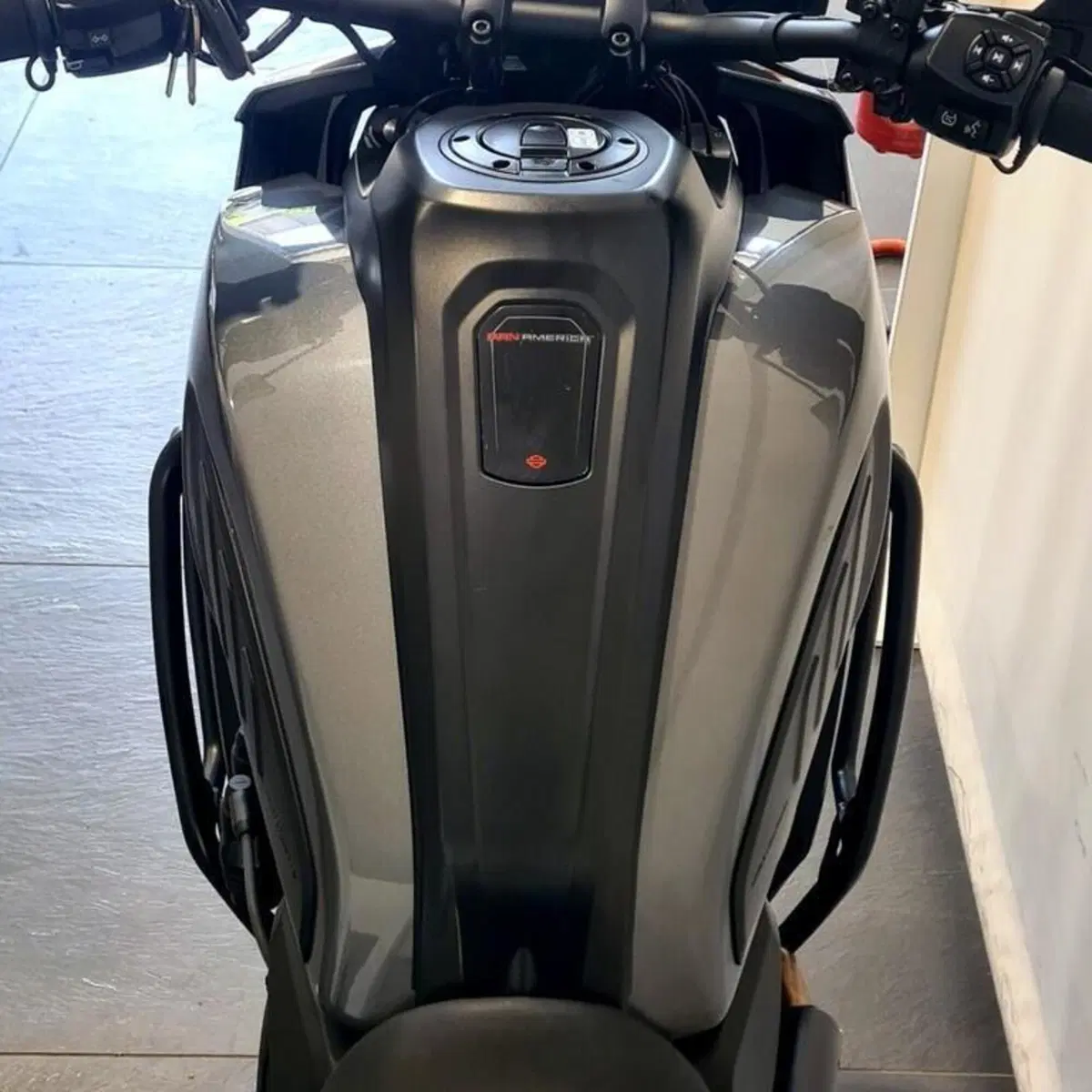 Harley-Davidson Pan America 1250 Special (2020 - 25) (6)
