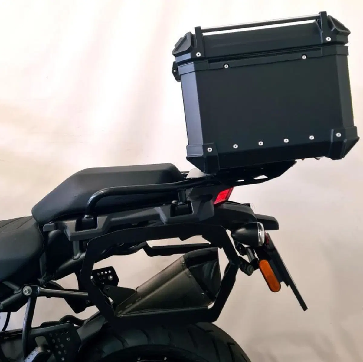 Harley-Davidson Pan America 1250 Special (2020 - 25) (15)