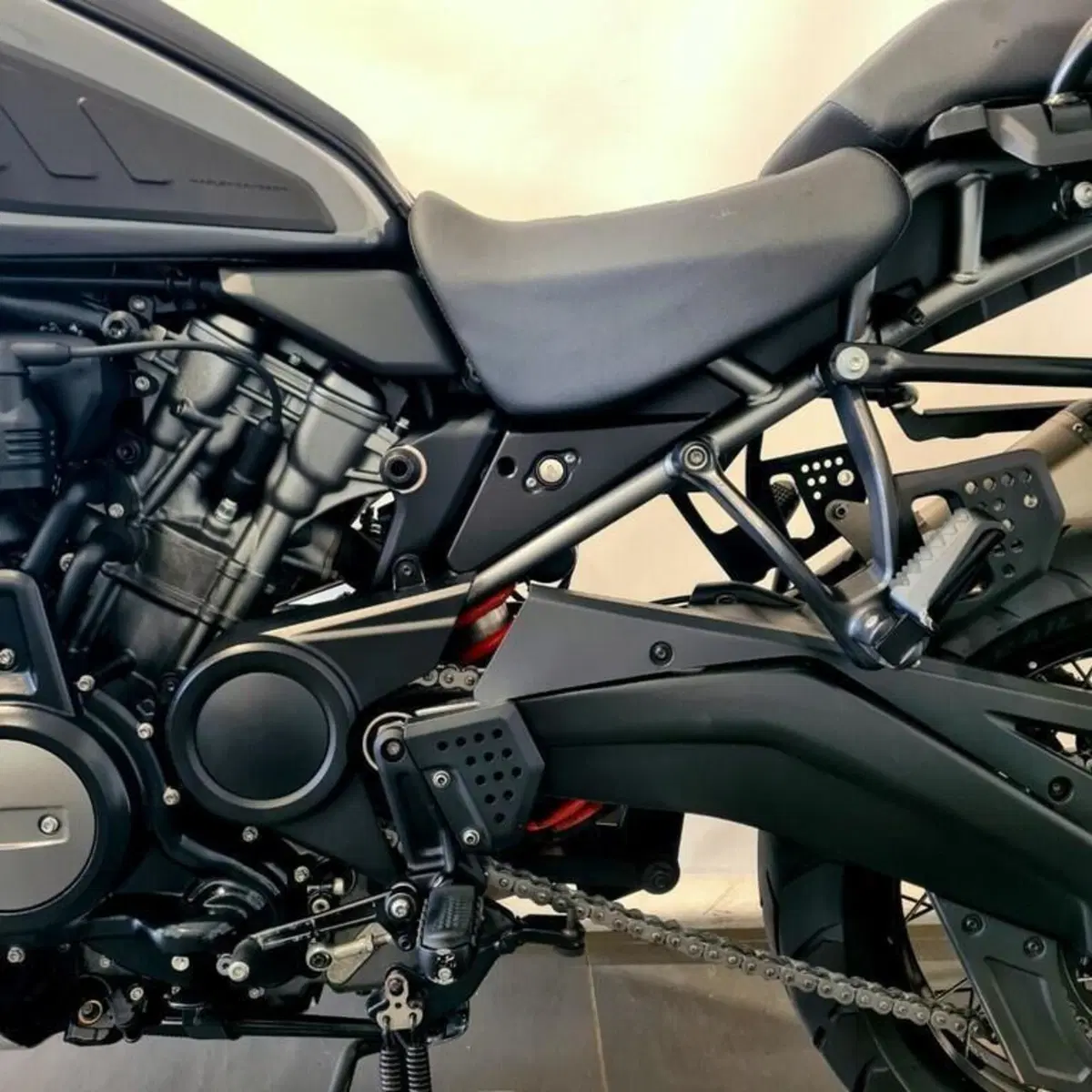 Harley-Davidson Pan America 1250 Special (2020 - 25) (12)