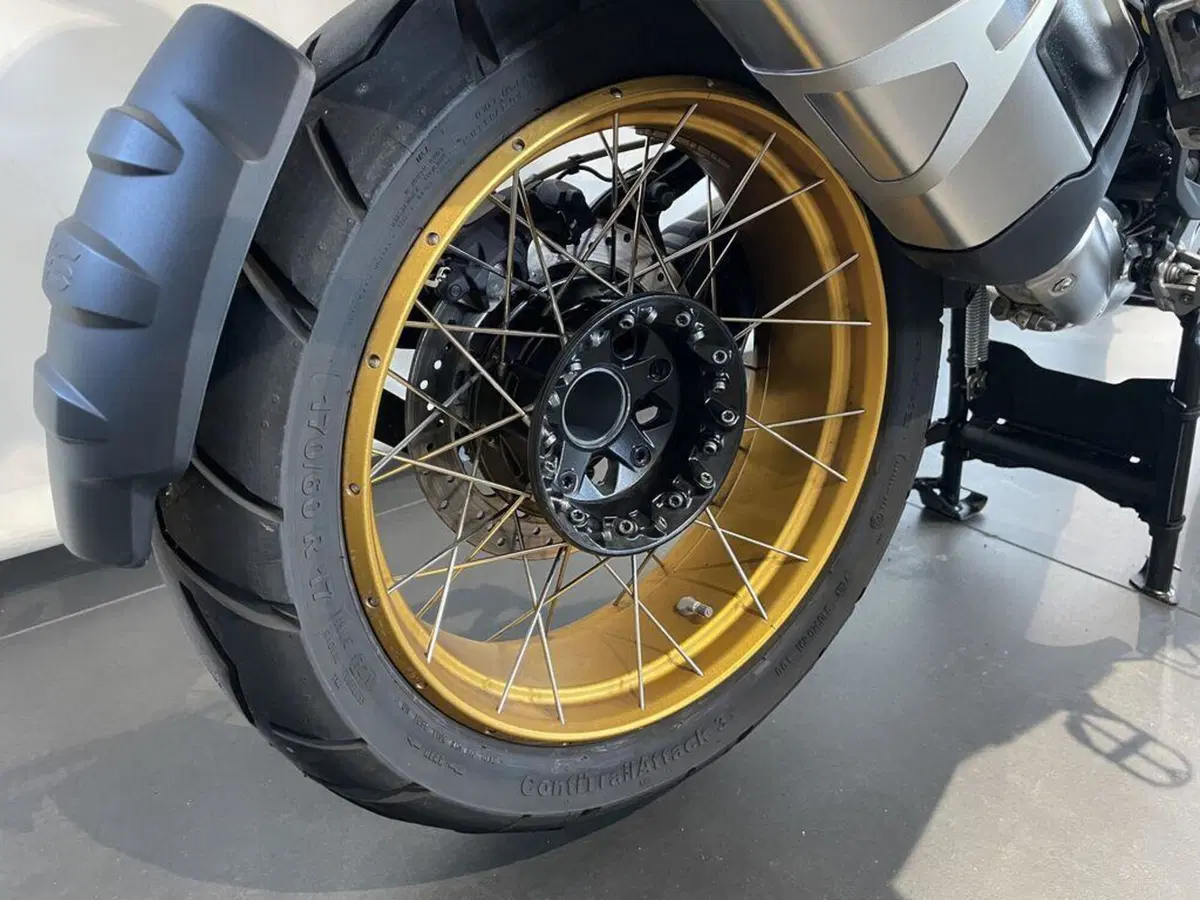 Bmw R 1250 GS Adventure (2021 - 24) (2)