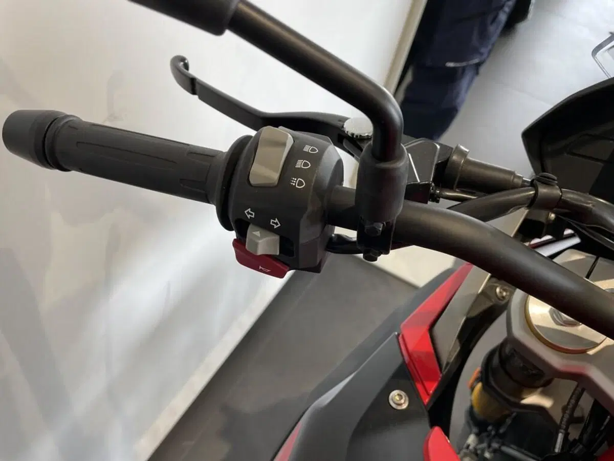 Bmw G 310 GS (2021 - 25) (8)