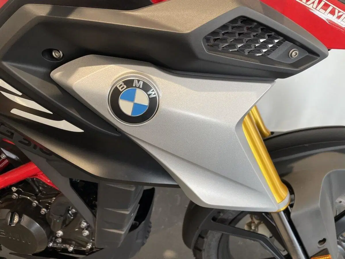 Bmw G 310 GS (2021 - 25) (10)