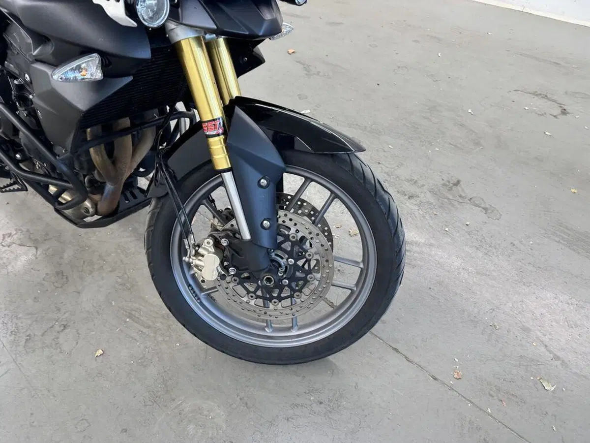 Triumph Tiger 800 ABS (2010 - 14) (9)
