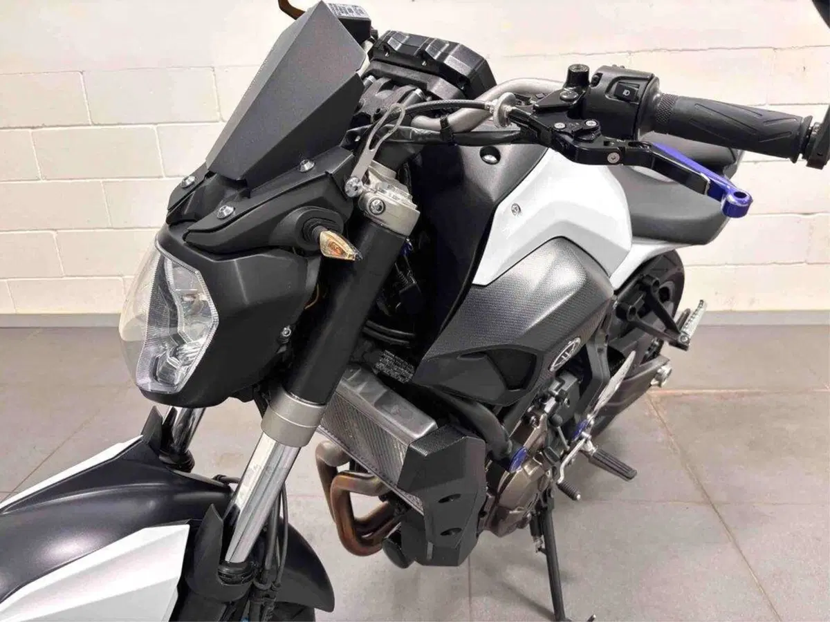 Yamaha MT-07 Moto Cage (2015 - 17) (2)
