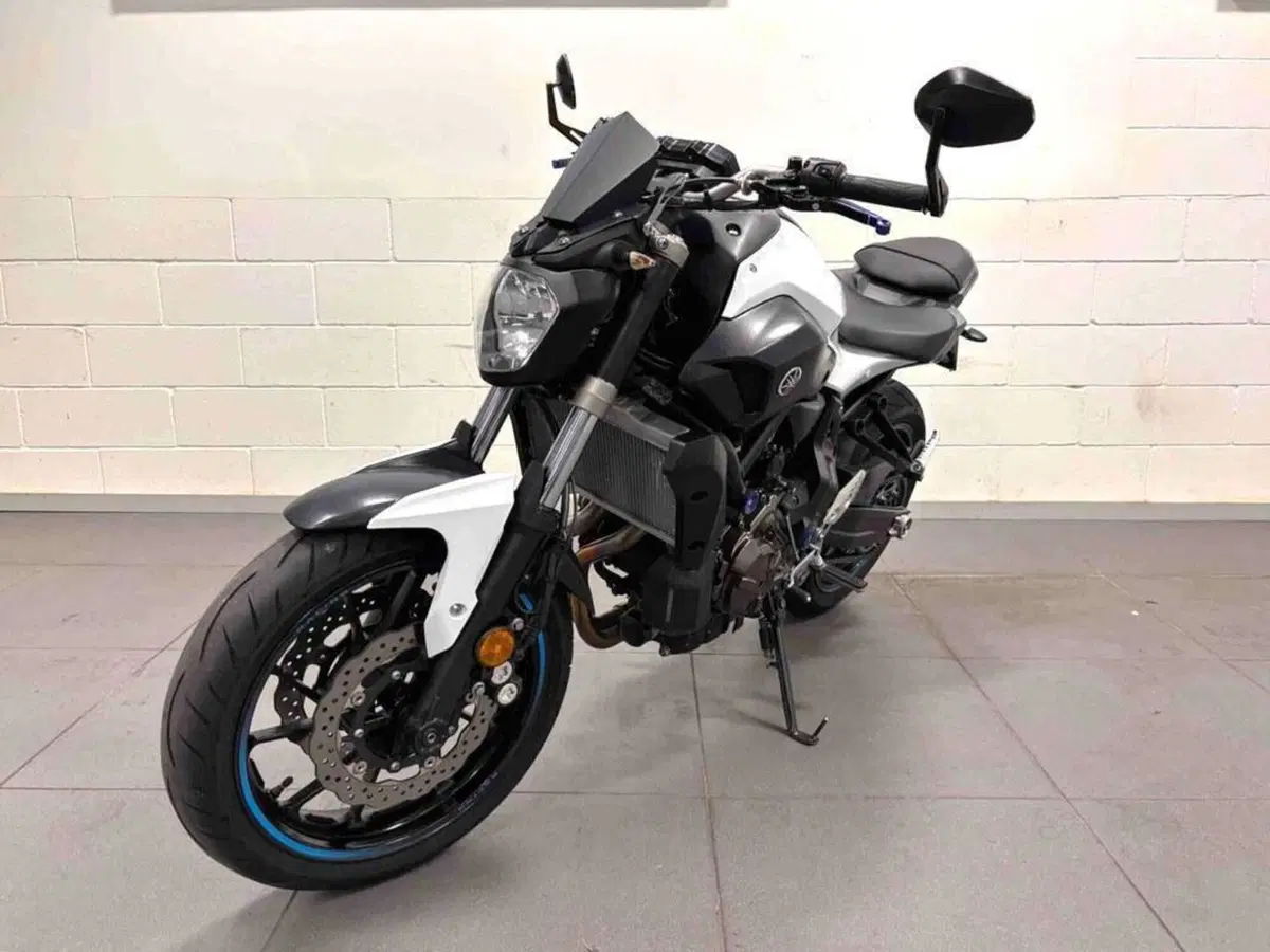 Yamaha MT-07 Moto Cage (2015 - 17)