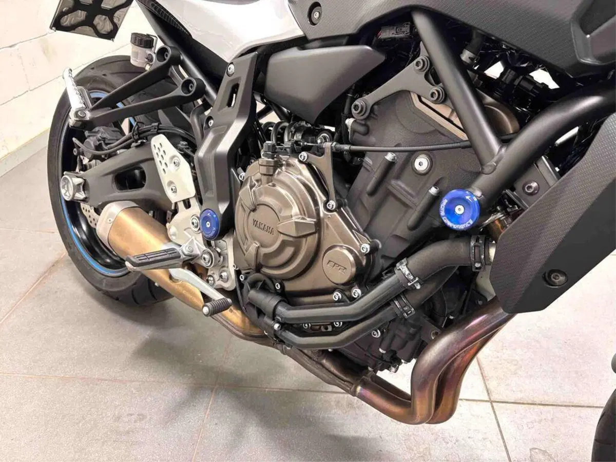 Yamaha MT-07 Moto Cage (2015 - 17) (3)