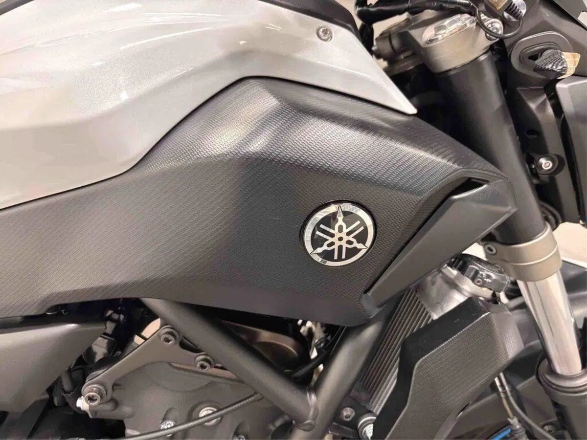 Yamaha MT-07 Moto Cage (2015 - 17) (4)
