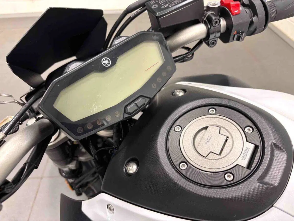 Yamaha MT-07 Moto Cage (2015 - 17) (5)