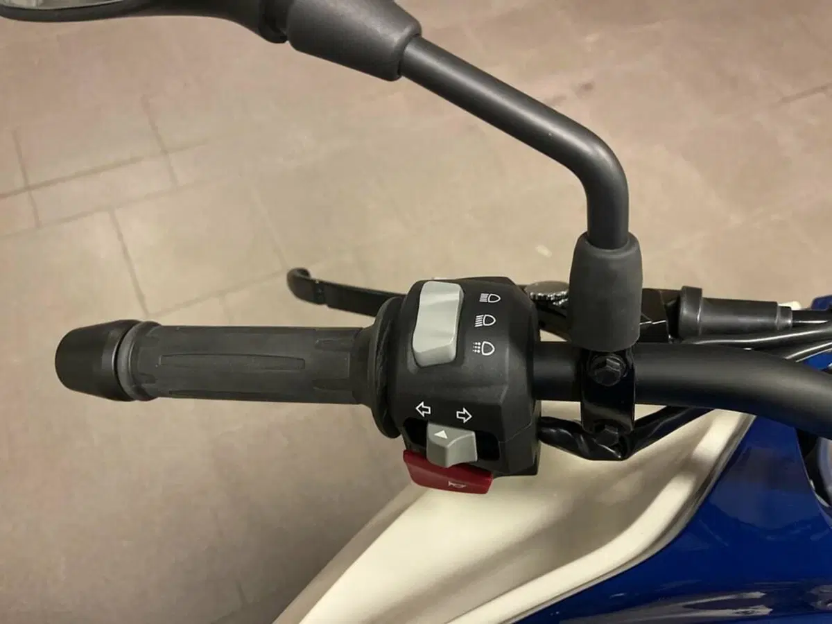 Bmw G 310 GS (2021 - 25) (10)